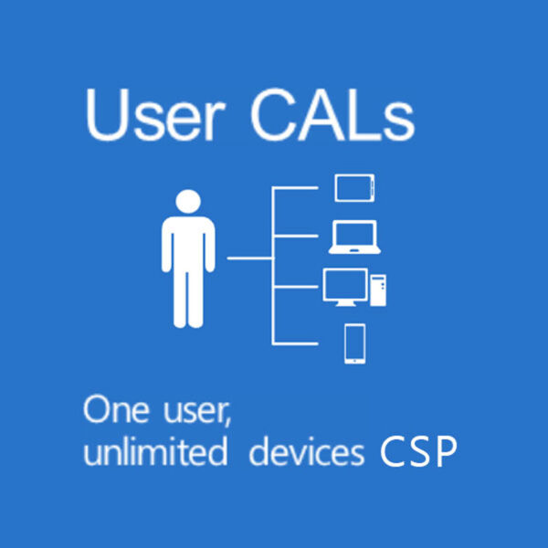 Windows Server 2025 User CAL CSP